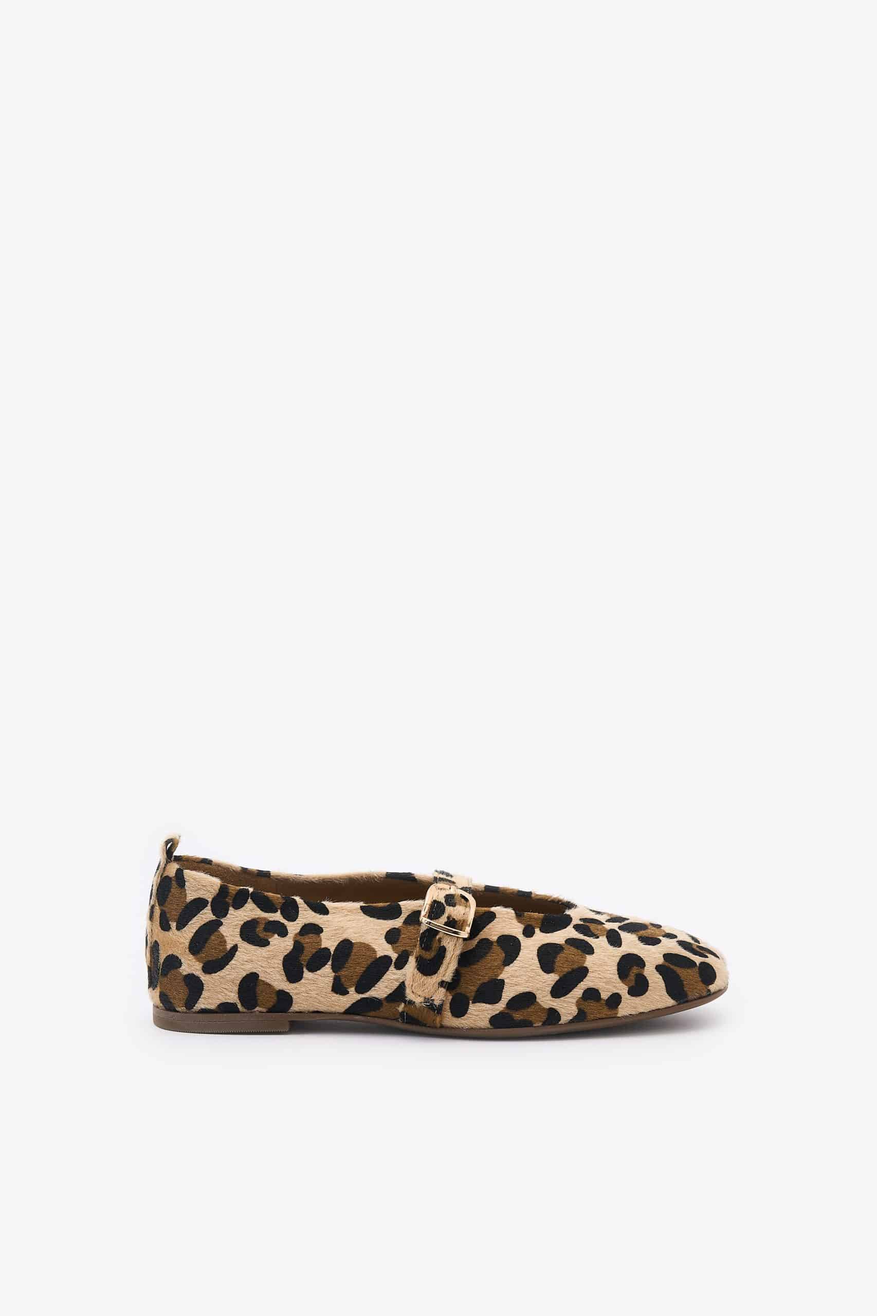 Papita Leopard